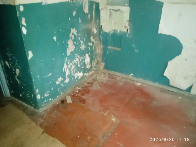 Встроенное нежилое помещение № 1 в жилом доме, расположенное по адресу: г. Саранск, ул. Воинова, д. 24.