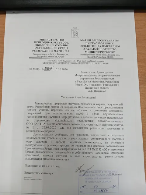 Древесина
