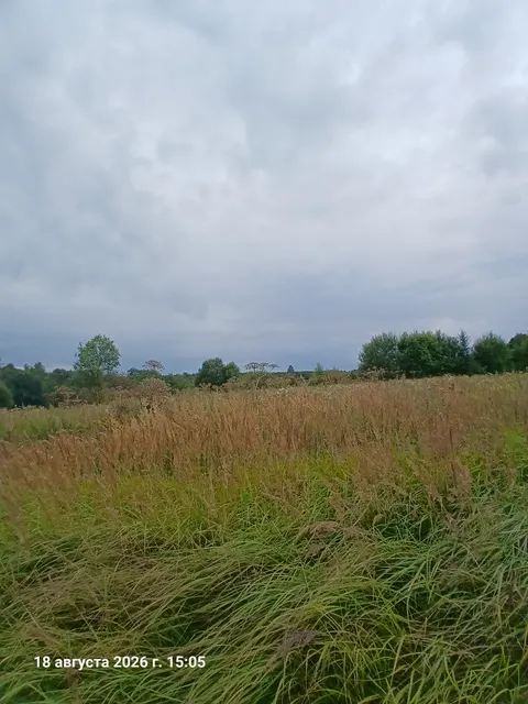 Аукцион в отношении земельного участка с КН 50:06:0050502:1559