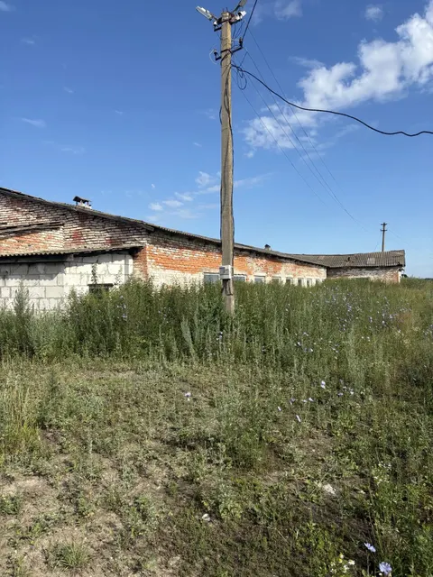 нежилое здание, наименование- коровник, площадь 1407,4  кв.м, кадастровый номер 32:26:0160102:96, адрес - Российская Федерация, Брянская область, Трубчевский муниципальный район, Селецкое сельское поселение, территория Хотьяновская, здание 1, земельный участок из земель сельскохозяйственного назначения кадастровый номер 32:26:0160102:208, адрес: Российская Федерация, Брянская область, Трубчевский муниципальный район,Селецкое сельское поселение, территория Хотьяновская, зу 1, площадь 4217 кв.м.
