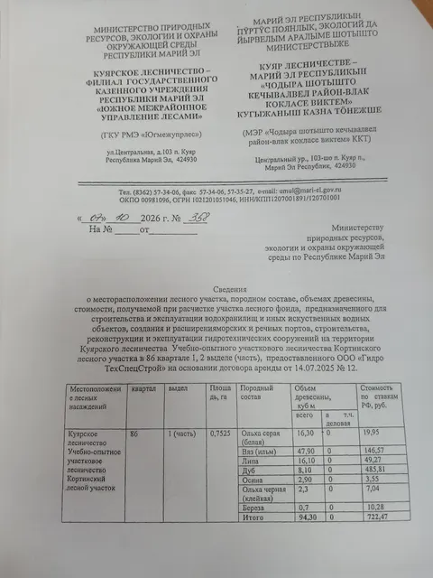 Древесина