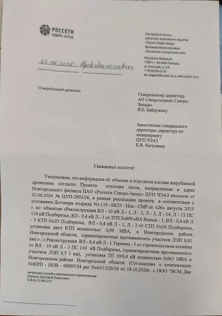 Древесина. Лот № 18.1