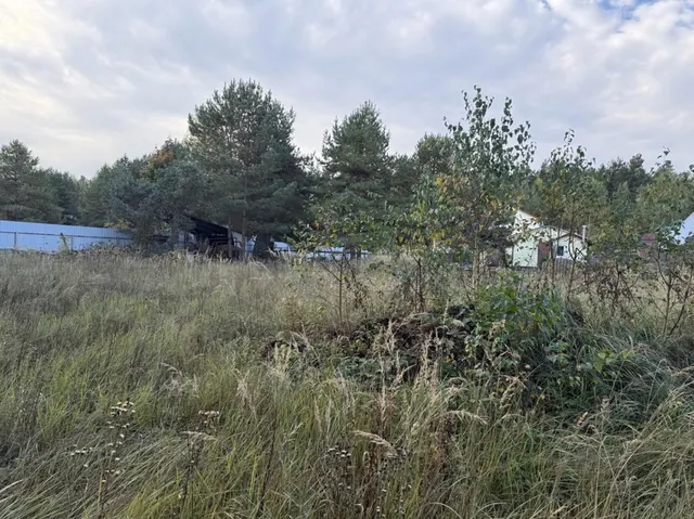 Аукцион в отношении земельного участка с КН: 50:24:0010901:1709