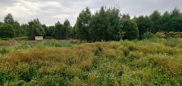 Аукцион в отношении земельного участка с КН: 50:19:0010108:1060