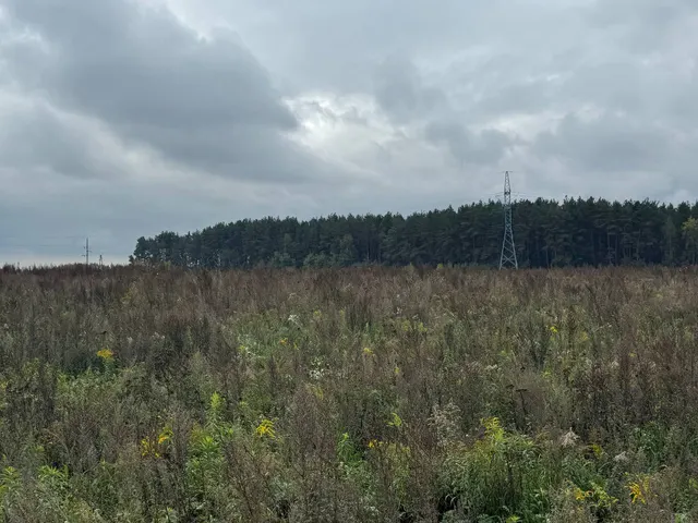 Аукцион в отношении земельного участка с КН 50:16:0601085:1255