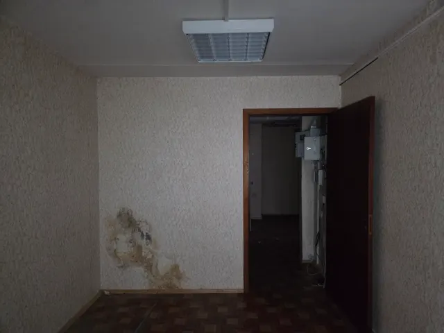 Продажа имущества, находящегося в собственности города Москвы, нежилое помещение по адресу: г. Москва, г. Зеленоград, корп. 1015,  площадью 33,3 кв. м. (Этаж № 1, помещ. 1Н), кадастровый номер: 77:10:0000000:2441