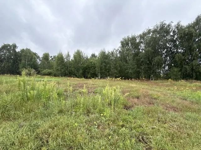 Аукцион в отношении земельного участка с КН 50:28:0110150:7449