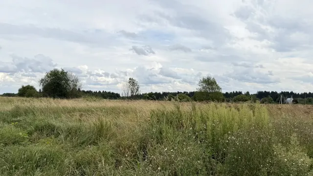 Аукцион в отношении земельного участка с КН 50:08:0090215:1034
