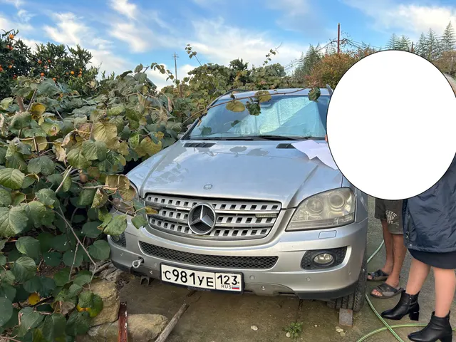 Д-к: Кравченко А.Н. Легковой автомобиль MERCEDES BENZ ML320CDI, г/в 2008, г/н С981УЕ123, VIN WDC1641221A438695