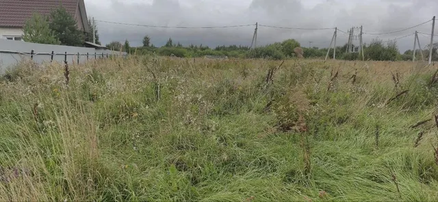 Аукцион в отношении земельного участка с КН 50:25:0070519:229