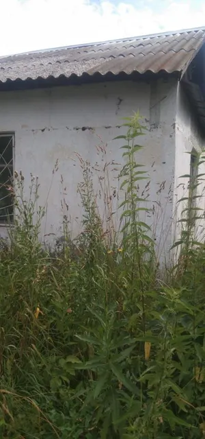 -нежилое здание общей площадью 49,7 кв. м, кадастровый номер 42:09:1404001:245, расположенное по адресу:  Кемеровская область – Кузбасс, Новокузнецкий муниципальный округ, п. Зеленый Луг, ул. Новая,   д. 5-2.  -земельный участок общей площадью 990 кв. м, кадастровый номер 42:09:1404001:408, расположенный по адресу: Кемеровская область – Кузбасс, Новокузнецкий муниципальный округ, п. Зеленый Луг,  ул. Новая,  з/у 5-2.