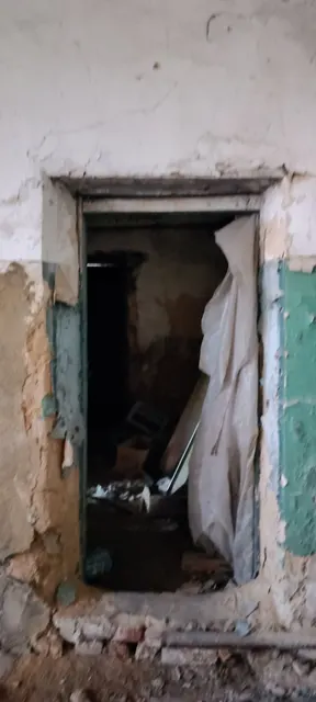 недвижимое имущество: здание, земельный участок