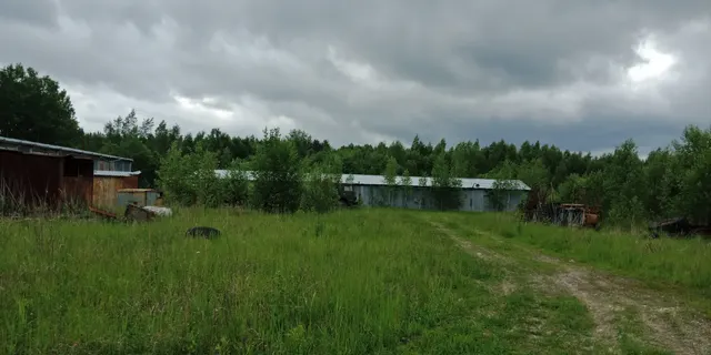 нежилое здание с кн 62:04:2260103:339, общей площадью               200 кв.м, РНФИ:П12620000042, расположенное по адресу: Рязанская область,  р-н Касимовский, ст. Касимов
