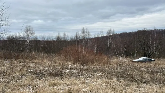 Аукцион в отношении земельного участка с КН 50:33:0030569:1058