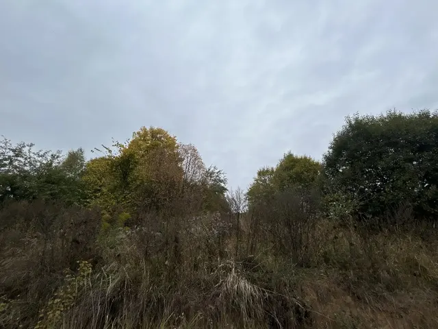 Аукцион в отношении земельного участка с КН 50:33:0010462:517