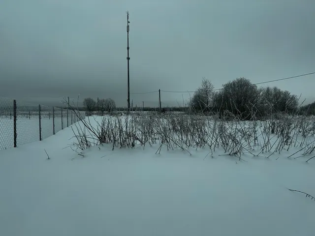 Аукцион в отношении земельного участка с КН 50:33:0020421:1808