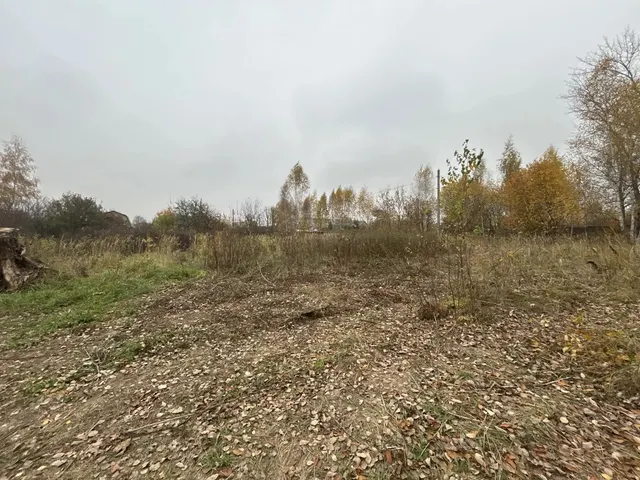 Аукцион в отношении земельного участка с КН 50:33:0020228:998