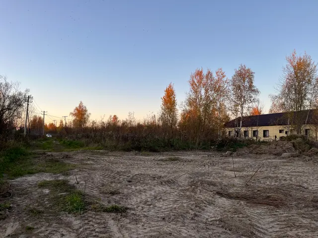 Размер ежегодной арендной платы