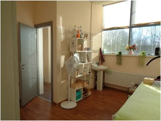 Право заключения договора аренды (пом.215 площадью 17,3 кв.м.)