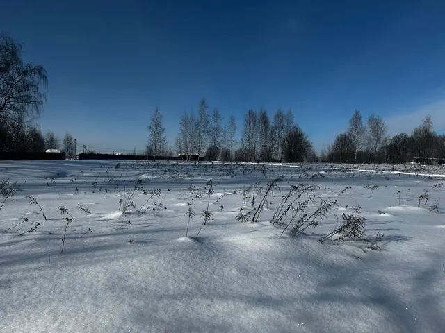 Аукцион в отношении земельного участка с КН 50:33:0020458:637