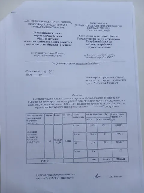 Древесина