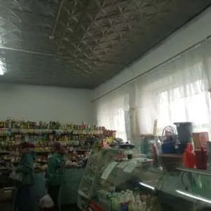 Нежилое помещение, общей площадью 93,9 кв.м., расположенное по адресу: Российская Федерация, Новосибирская область, Северный район, с. Гражданцево, ул. Центральная, дом 46/1