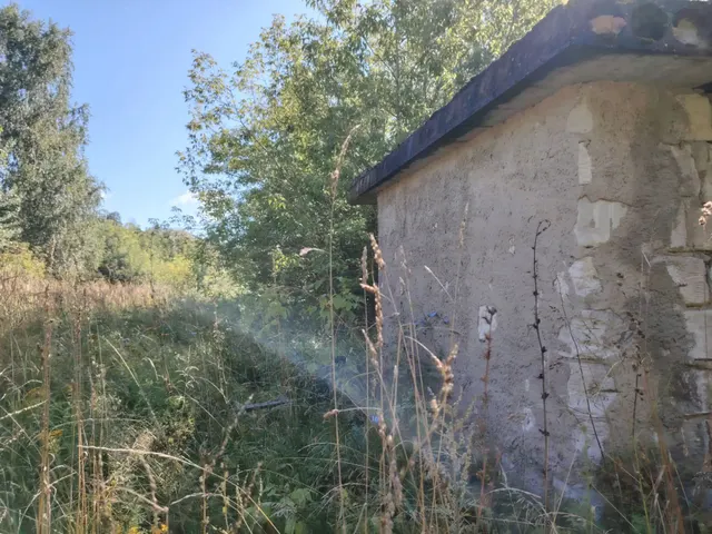 Годные (утилизационные) остатки здания (склад), площадь 260,7 кв.м,  кадастровый номер 43:07:020101:1173,  1978 года постройки, назначение: нежилое, по адресу: Кировская область, р-н Вятскополянский, пгт Красная Поляна,  ул. Сосновая, д. 24