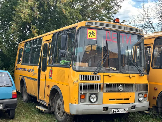 Автобус для перевозки детей ПАЗ 32053-70, 2011 г.