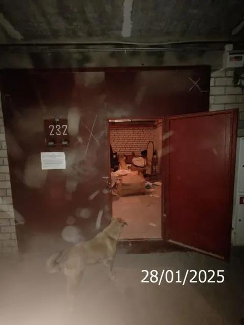 Нежилое помещение (гаражный бокс №232) (этаж № 5) общей площадью 21,8 кв.м, кадастровый номер 52:18:0060217:6178, расположенное по адресу: Российская Федерация, Нижегородская область, г. Нижний Новгород, ул.К.Касьянова, 4б, гаражный кооператив «Надежда»