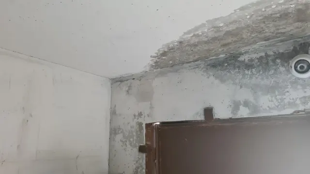 Продажа нежилого помещения (гараж) площадью 19.2 кв.м. с кадастровым номером 89:13:010110:89, РФИ П13720003794, расположенного по адресу: Ямало-Ненецкий автономный округ, г. Муравленко, ул. Дружбы Народов, микрорайон 8-а, гаражный комплекс 2, корпус 2, бокс №17
