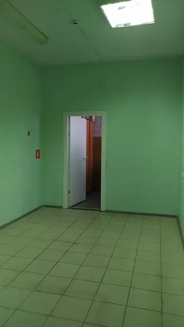 Нежилое помещение с кадастровым номером 32:22:0390251:303, площадью 18,1 кв.м, по адресу: Брянская область, р-н Севский, г. Севск, ул. Ленина, д. 20