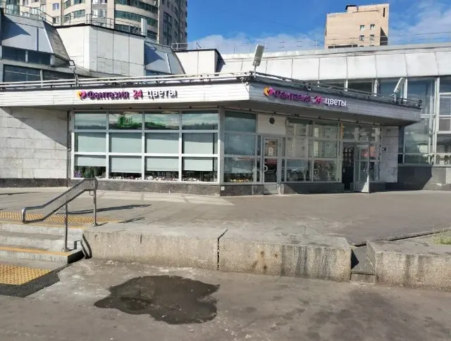 нежилое помещение 3-Н (ч.п. 1, 2, 3) площадью 45 кв. м., расположенное  по адресу: Санкт-Петербург, Гражданский проспект, дом 116, корпус 1, литера А, кадастровый номер 78:10:0005549:3015.