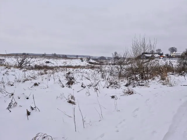 Аукцион в отношении земельного участка с КН 50:33:0030430:698