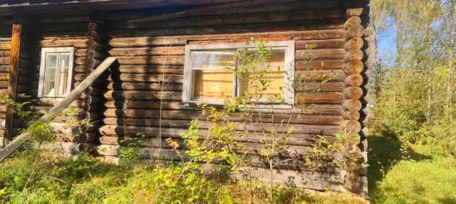 Нежилое здание (здание спортзала) общей площадью 157,1 кв.м., в деревянном исполнении, 1973 год постройки, кадастровый номер 44:05:030105:116, с одновременным отчуждением земельного участка, необходимого для его эксплуатации, общей площадью 372,0 кв.м., кадастровый номер земельного участка 44:05:030105:115, по адресу: Костромская область, Кадыйский район, д.Котлово, ул.Кадыйская, д.8а