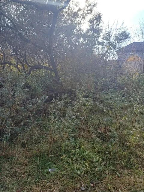 Аукцион в отношении земельного участка с КН 50:16:0704011:644