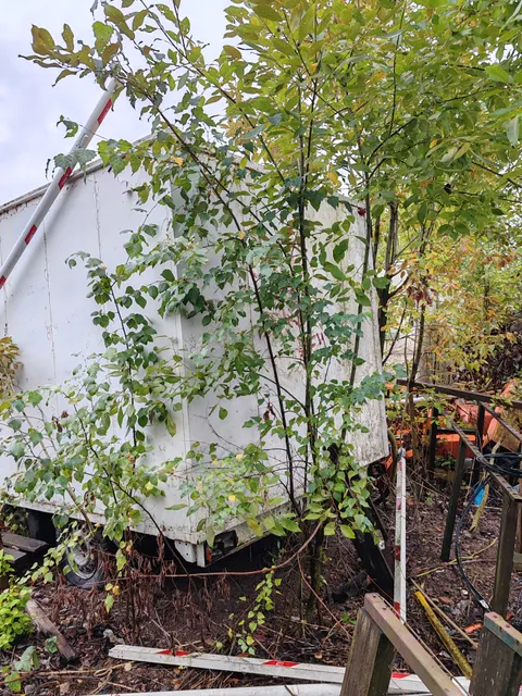 Автоприцеп "Купава" государственный регистрационный знак АМ9750 47, идентификационный номер X9H87121040000333