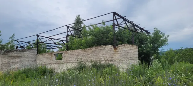 нежилое здание лесопильного цеха кадастровый номер 22:67:010101:82, общей площадью 247 кв.м. и земельный участок кадастровый номер 22:67:020115:347, общей площадью 699 кв.м., расположенные по адресу: Российская Федерация, Алтайский край, р-н. Змеиногорский, г. Змеиногорск, ул. Ф.Лелеснова, д. 6.