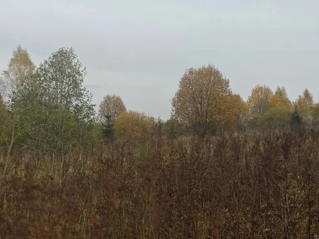 Аукцион в отношении земельного участка с КН 50:05:0040410:382