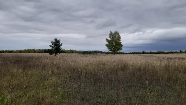 на право заключения договора аренды земельного участка с кадастровым номером 62:25:0080302:125, принадлежащего на праве собственности  муниципальному образованию – Тимошкинское сельское поселение Шиловского муниципального района Рязанской области, площадью 76 000 кв.м, из земель сельскохозяйственного назначения, с разрешенным использованием – для сельскохозяйственного производства, местоположение установлено относительно ориентира, расположенного в границах участка. Почтовый адрес ориентира: Ряз