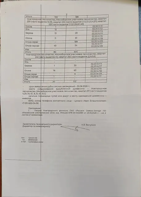 Древесина. Лот № 18.1