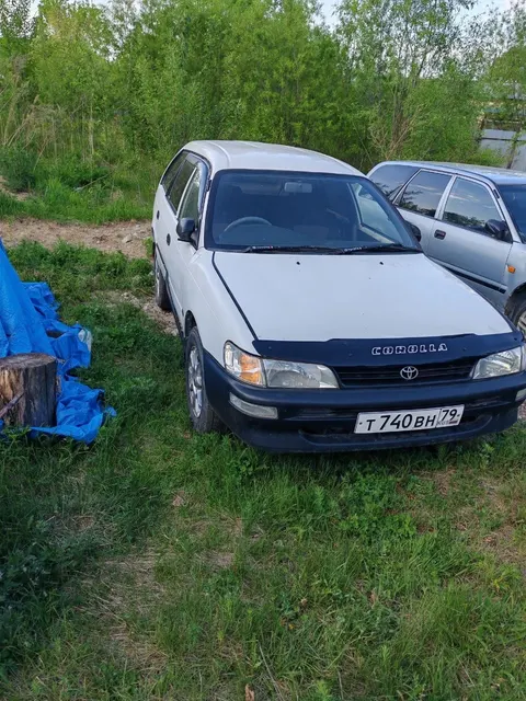 Автомобиль марки Toyota Corolla, г/н Т740ВН79 ,1995 г.в., № кузова ЕЕ1030026334, цвет белый