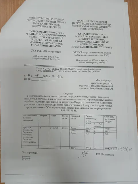 Древесина