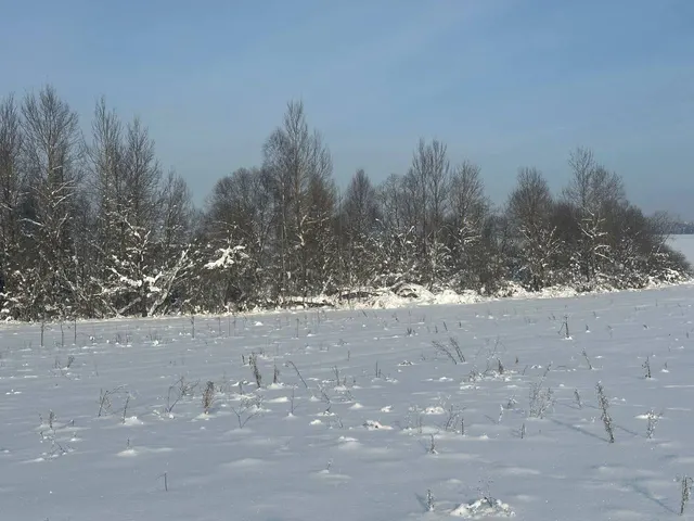 Аукцион в отношении земельного участка с КН 50:19:0060125:691