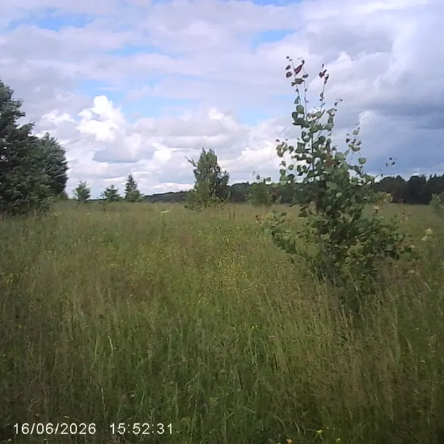 Аукцион в отношении земельного участка с КН 50:06:0100402:1104