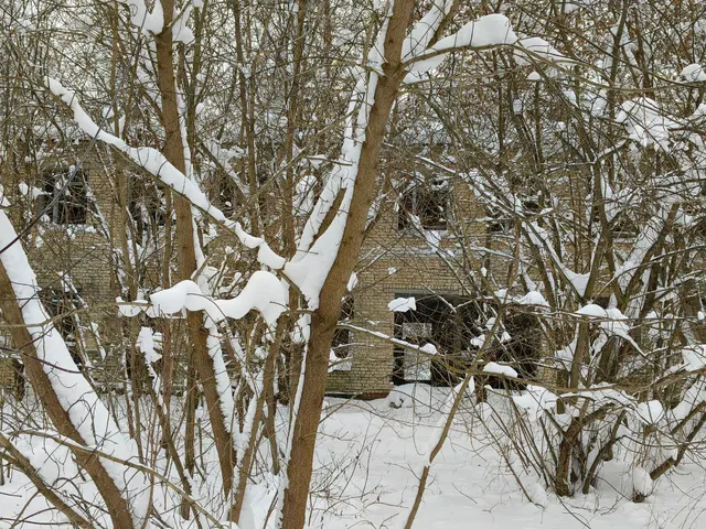 Нежилое здание казармы, площадь - 1000,6 кв.м, количество этажей – 2, кадастровый номер 52:15:0110102:451, под разбор (демонтаж) с учетом годных остатков здания (строения), расположенное по адресу: Нижегородская область, р-н Городецкий, д. Пестово, (Кумохинский с/с), в/г №9