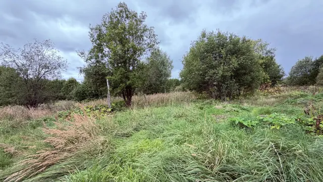 Аукцион в отношении земельного участка с КН 50:08:0090208:775