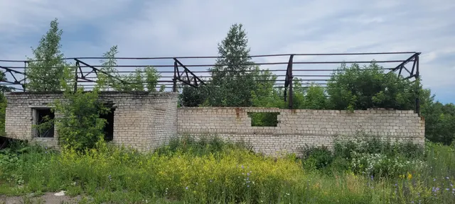нежилое здание лесопильного цеха кадастровый номер 22:67:010101:82, общей площадью 247 кв.м. и земельный участок кадастровый номер 22:67:020115:347, общей площадью 699 кв.м., расположенные по адресу: Российская Федерация, Алтайский край, р-н. Змеиногорский, г. Змеиногорск, ул. Ф.Лелеснова, д. 6.