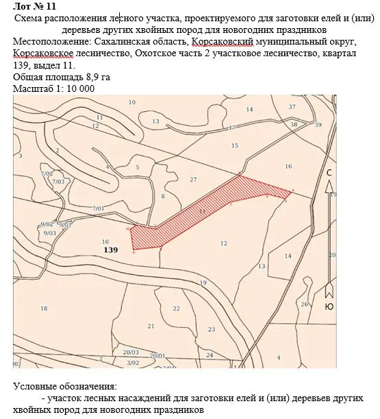 Право заключения договора купли-продажи лесных насаждений для заготовки елей и (или) деревьев других хвойных пород для новогодних праздников в границах земель лесного фонда Корсаковского лесничества.