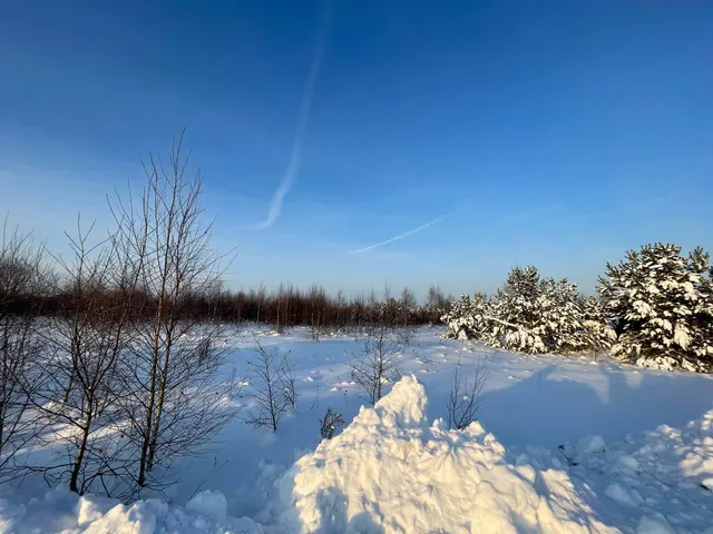 Аукцион в отношении земельного участка с КН 50:33:0010246:1836