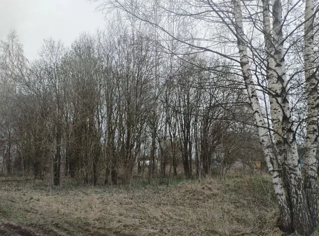 Аукцион в отношении земельного участка с КН 50:18:0070308:568